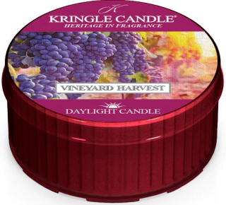 Kringle Candle - votivní svíčka VINEYARD HARVEST (Sklizeň vinohradu) 42 g