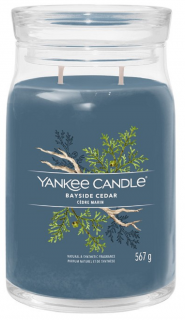 Yankee Candle Signature - vonná svíčka BAYSIDE CEDAR (Pobřežní cedr) 567 g
