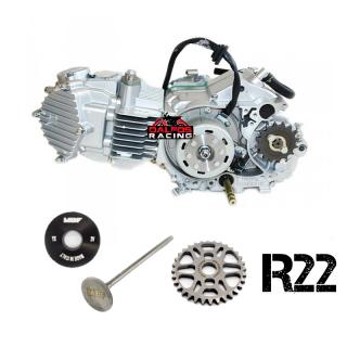 pitbike motor YX 160 R22 (Motor pro pitbike)