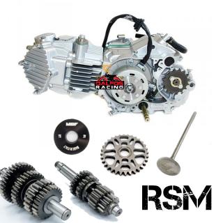 pitbike motor YX 160 RSM (Motor pro pitbike)