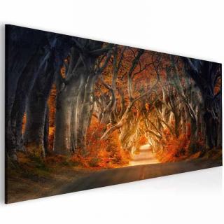 Obraz Kouzelná alej Velikost (šířka x výška): 110x60 cm