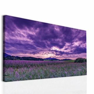 Obraz levandulové království Velikost (šířka x výška): 120x80 cm