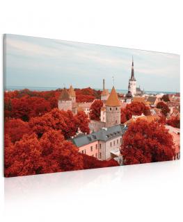 Obraz Město Tallinn Velikost (šířka x výška): 120x80 cm