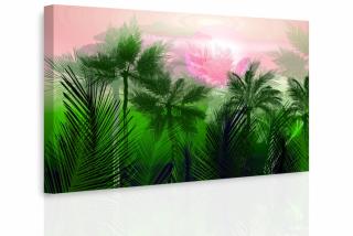 Obraz - Tajemná jungle III. Velikost (šířka x výška): 120x80 cm