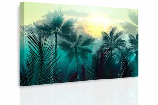 Obraz - Tajemná jungle Velikost (šířka x výška): 120x80 cm