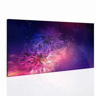 Obraz vesmírné pampelišky Velikost (šířka x výška): 120x80 cm