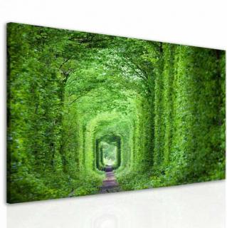 Obraz Zelený tunel Velikost (šířka x výška): 100x75 cm