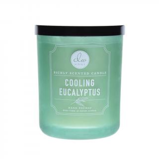 DW HOME vonná svíčka ve skle Cooling Eucalyptus, velká