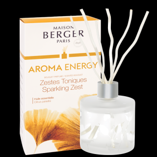 MAISON BERGER PARIS vonný difuzér Aroma Energy s vůní Sparkling Zest, 180ml