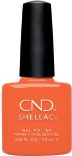 *CND  SHELLAC Gel Polish – B-DAY CANDLE   7,3ml/205