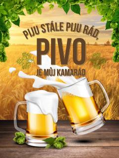 Plechová cedule - Pivo je můj kamarád 40 x 30 cm