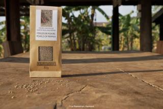 Kampot Pearls of Pepper 500g