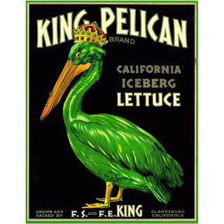 Retro cedule - King Pelican Lettuce