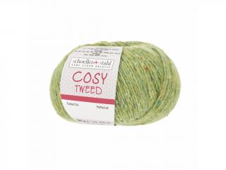 Příze Cosy Tweed Apfel 06