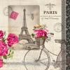 Paris ubrousky na decoupage vintage