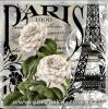 vintage Paris ubrousky na decoupage
