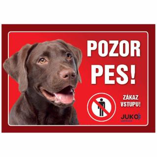 Plastová cedulka Pozor pes - Labrador hnědý (Plastová cedulka Pozor pes - Labrador hnědý)