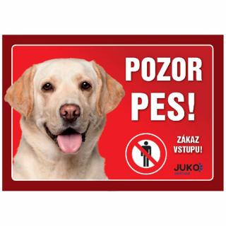 Plastová cedulka Pozor pes - Labrador zlatý (Plastová cedulka Pozor pes - Labrador zlatý)