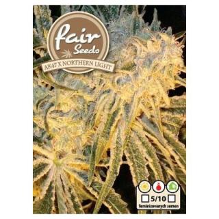 Fair Seeds AK47 x Northern Light, feminizovaná semena konopí Balení: 1 ks