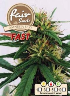 Fair Seeds Amnesia Fast, feminizovaná semana konopí, fast Balení: 1 ks