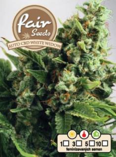 Fair Seeds Auto CBD White Widow, feminizovaná semena konopí, samonakvétací Balení: 1 ks