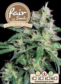 Fair Seeds Auto Cream Candy, feminizovaná semena konopí, samonakvétací Balení: 1 ks