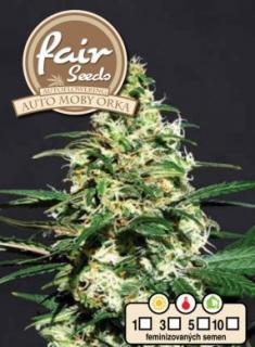 Fair Seeds Auto Moby Orka, feminizovaná semena mariuhany, samonakvétací Balení: 10 ks