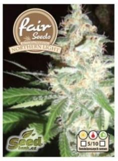 Fair Seeds Auto Northern Light, feminizovaná semena mariuhany, samonakvétací Balení: 1 ks