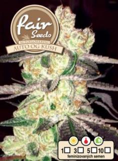 Fair Seeds Auto OG Kush, feminizovaná semena konopí, samonakvétací Balení: 10 ks