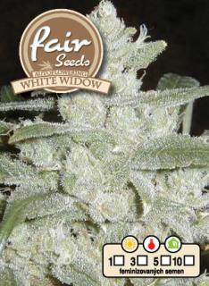 Fair Seeds Auto White Widow, feminizovaná semena konopí, samonakvétací Balení: 1 ks