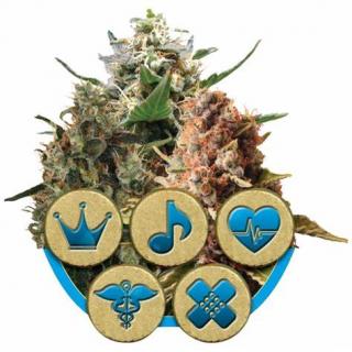 Royal Queen Seeds Medical Mix, feminizovaná semena konopí Balení: 3 ks