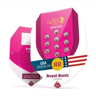 Royal Queen Seeds Royal Runtz, feminizovaná semena konopí Balení: 10 ks