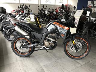 UM DSR Adventure TT 125