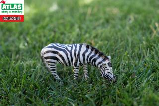 Zebra 11 cm figurka Atlas