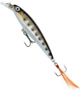 Rapala X-Rap 10cm MD ( XR10MD)