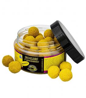 Václavík Boilies v dvojobalu 20mm/Slunečnice /180g (Boilies)