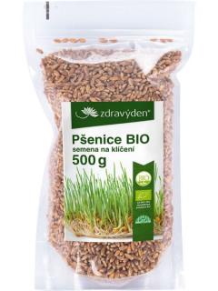 Pšenice BIO – semena na klíčení 500g (Ochrana před stárnutím)