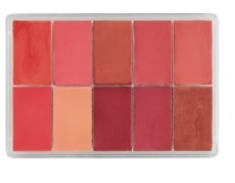 Paletka 10 krémových rtěnek 15 ml, 10 LIPSTICK SLIM PALETTE  #TF4